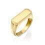 טבעת חותם, 14K זהב, דגם R3730