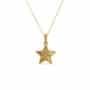 תליון כוכב, 14K זהב, דגם P277-275133