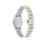 שעון Ferragamo מקולקציית Vega New, שעון לאישה ,דגם SFJP00426